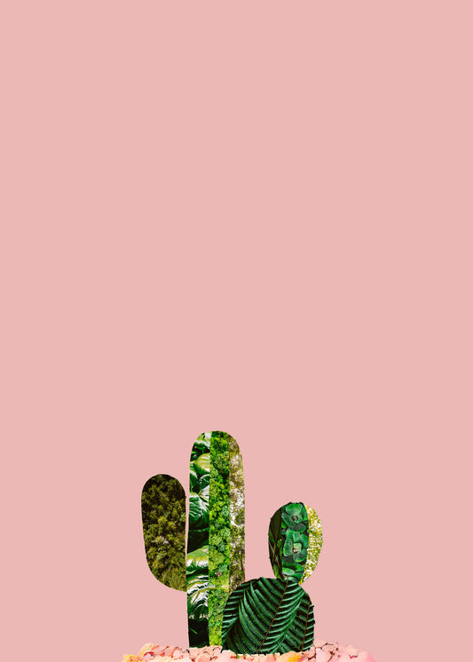 "Cactus in a Dream" Phone background