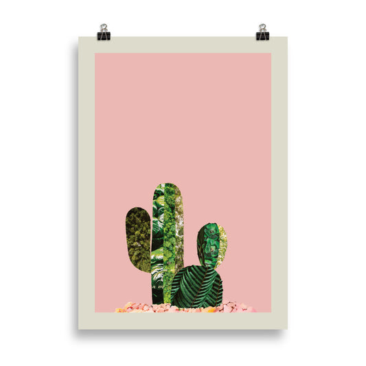 "Cactus in a Dream"